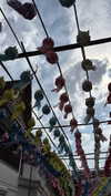 dina_shrago Altpins Profile Picture