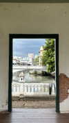 dina_shrago Altpins Profile Picture
