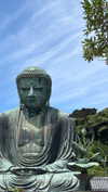 dina_shrago Altpins Profile Picture