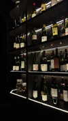 dina_shrago Altpins Profile Picture