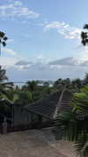 dina_shrago Altpins Profile Picture