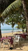 dina_shrago Altpins Profile Picture