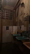 dina_shrago Altpins Profile Picture