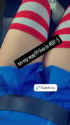 dollblush Altpins Profile Picture