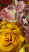 dovecameron Altpins Profile Picture