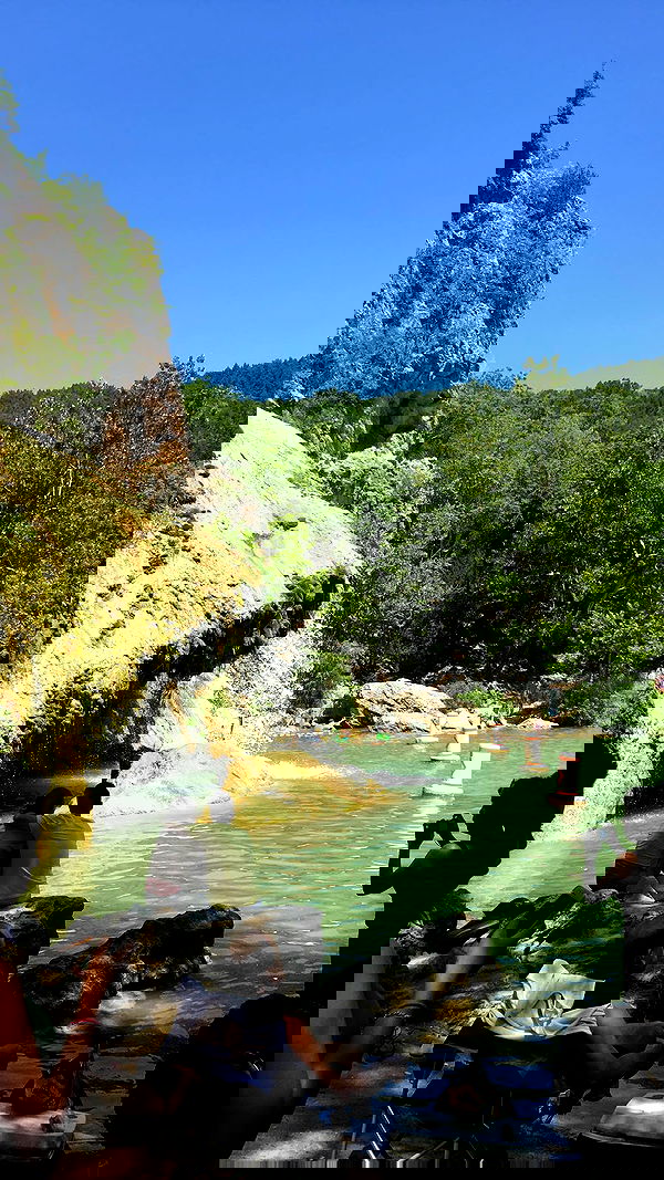 dracuina image ~ Altpins