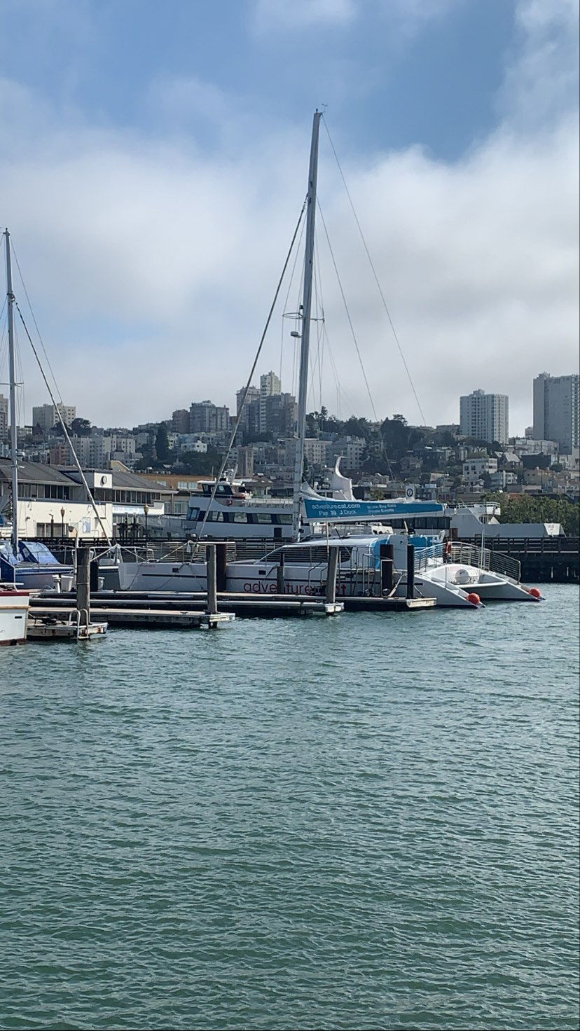 dracuina instagram image archive image