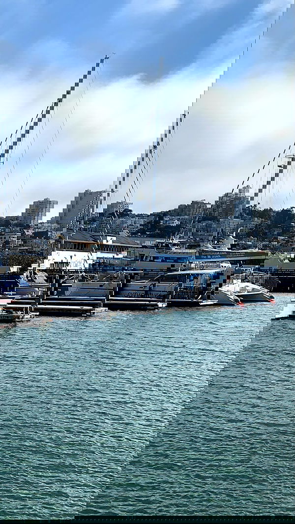 dracuina image ~ Altpins