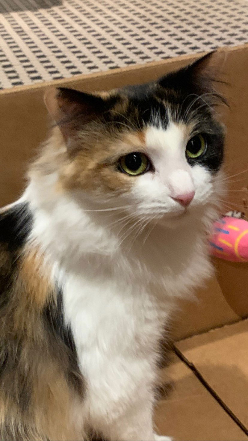 dracuina instagram image archive image