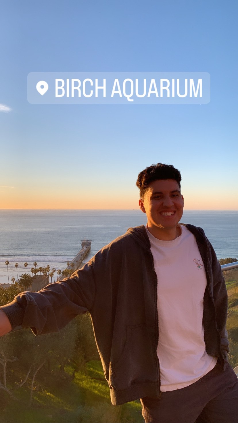 dracuina instagram image archive image