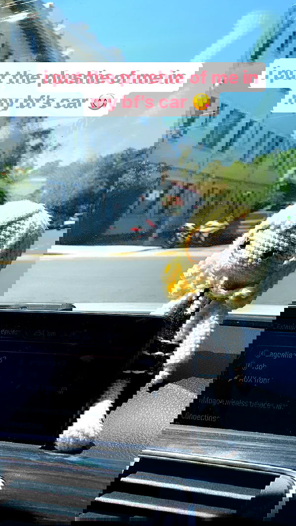 dracuina image ~ Altpins