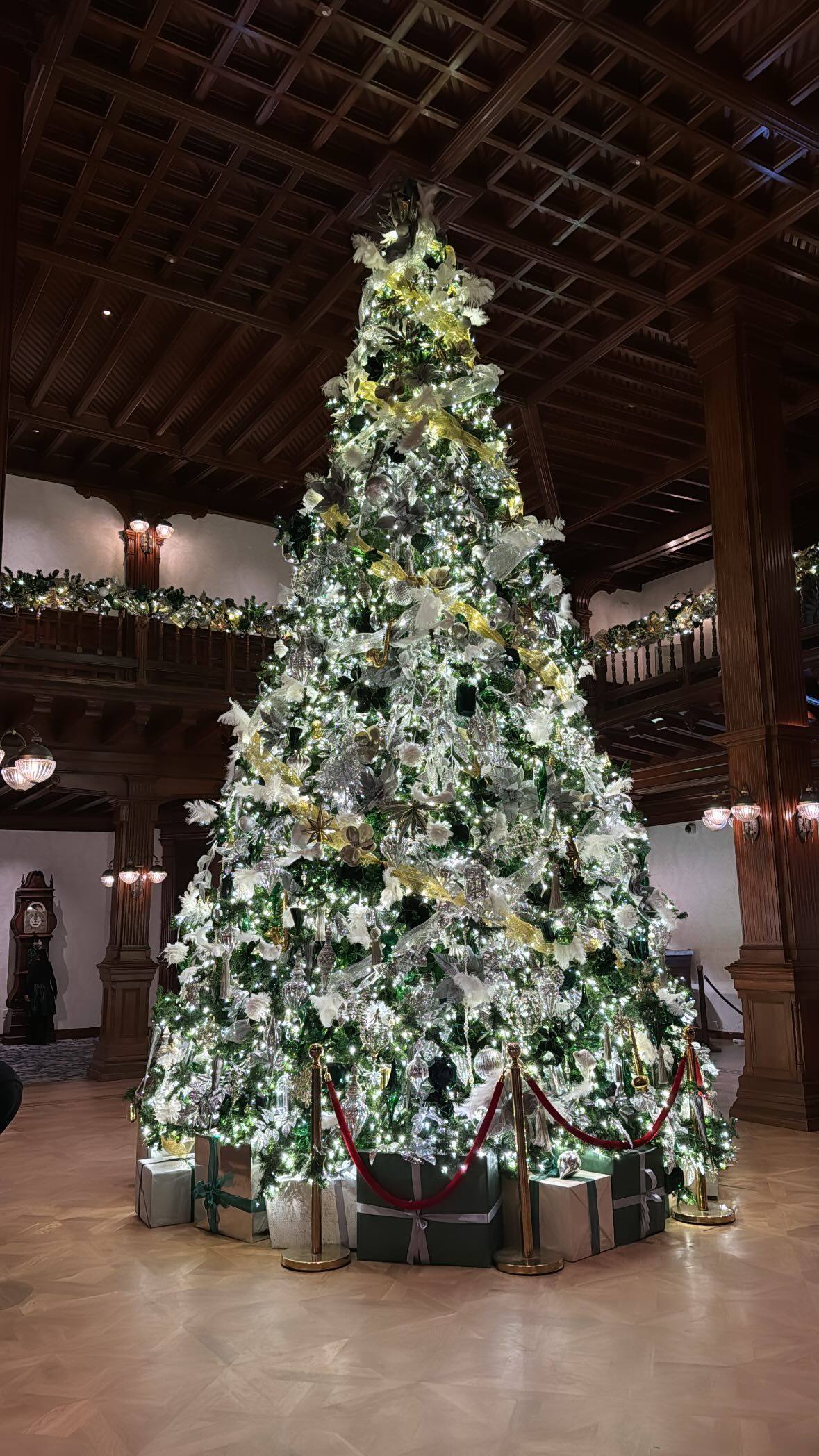 dracuina instagram image archive image