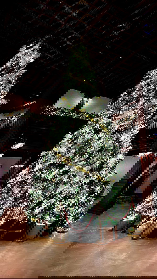 dracuina image ~ Altpins