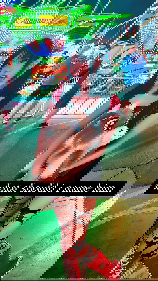 dracuina image ~ Altpins