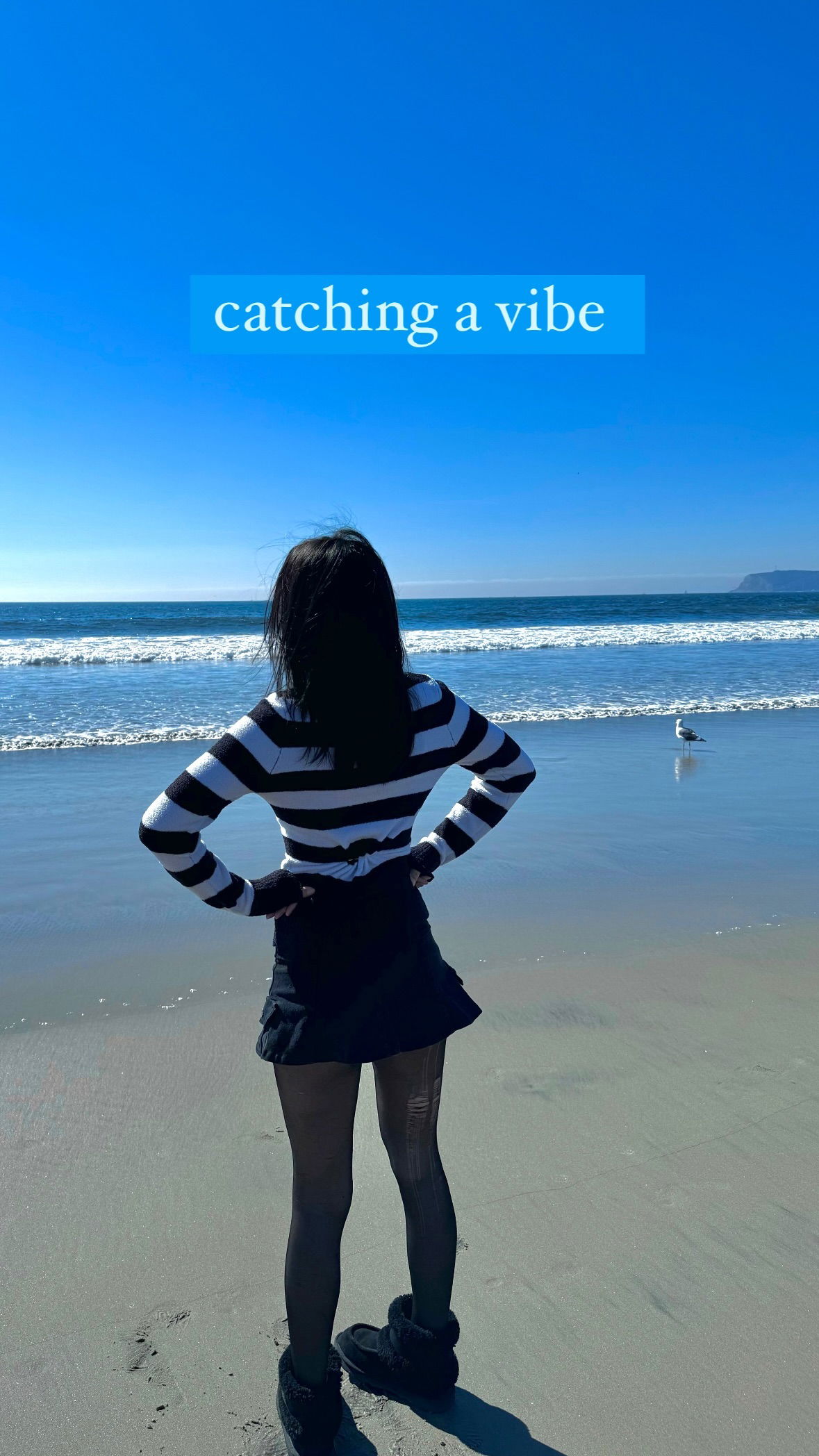 dracuina instagram image archive image