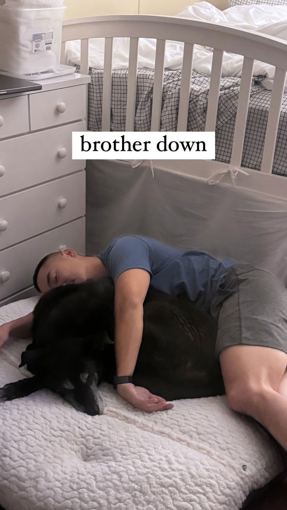 dracuina instagram image archive image