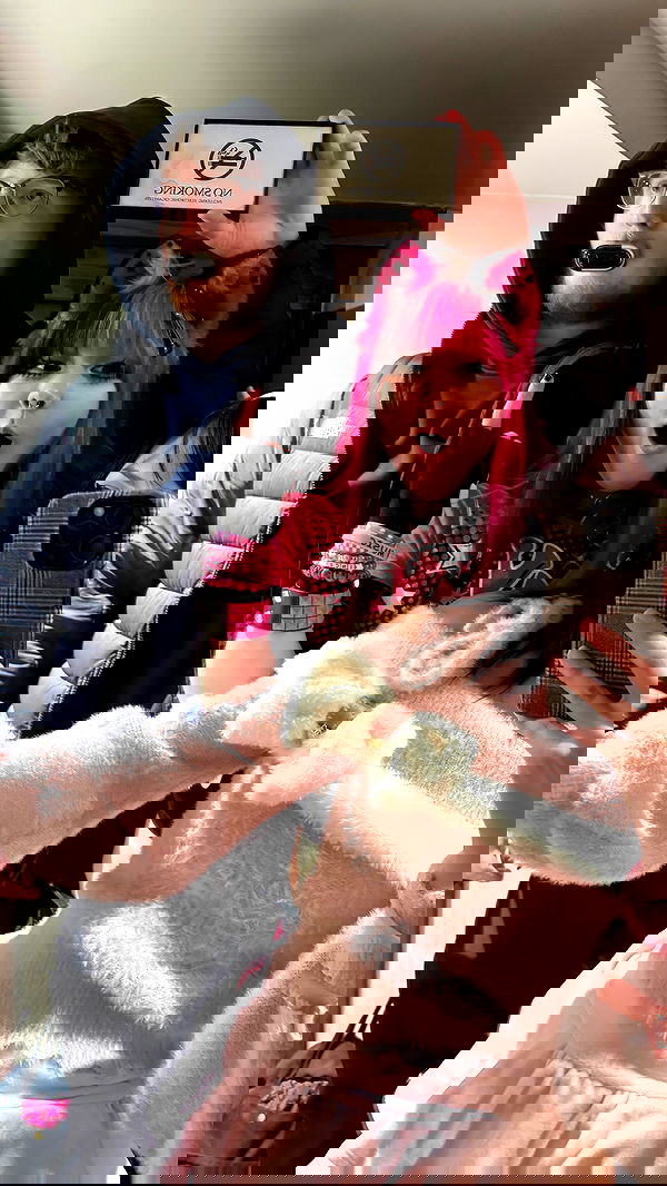 dracuina image ~ Altpins