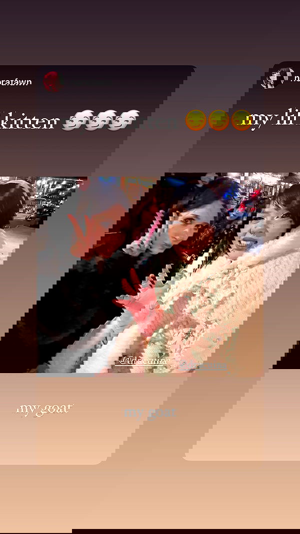 dracuina image ~ Altpins