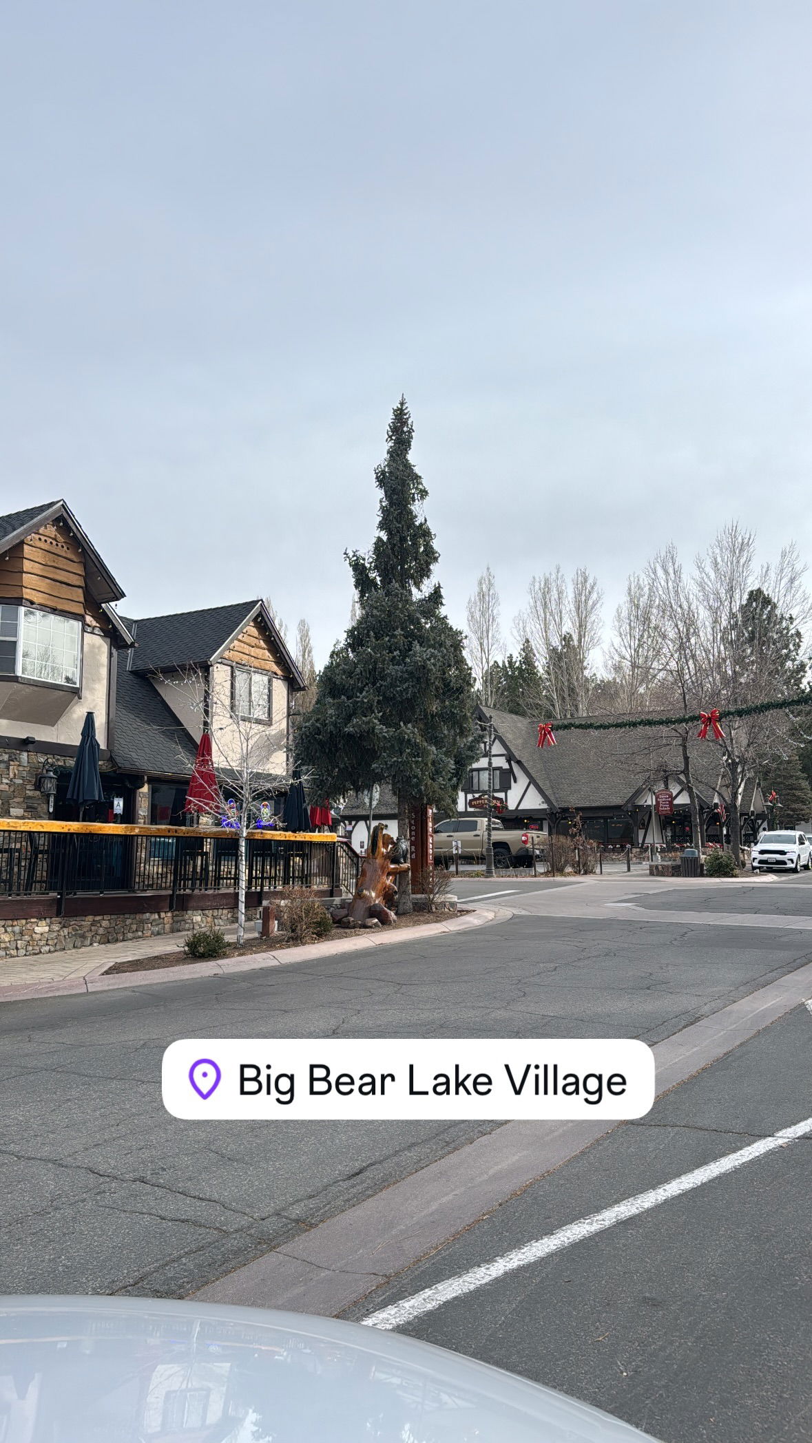 dracuina instagram image archive image