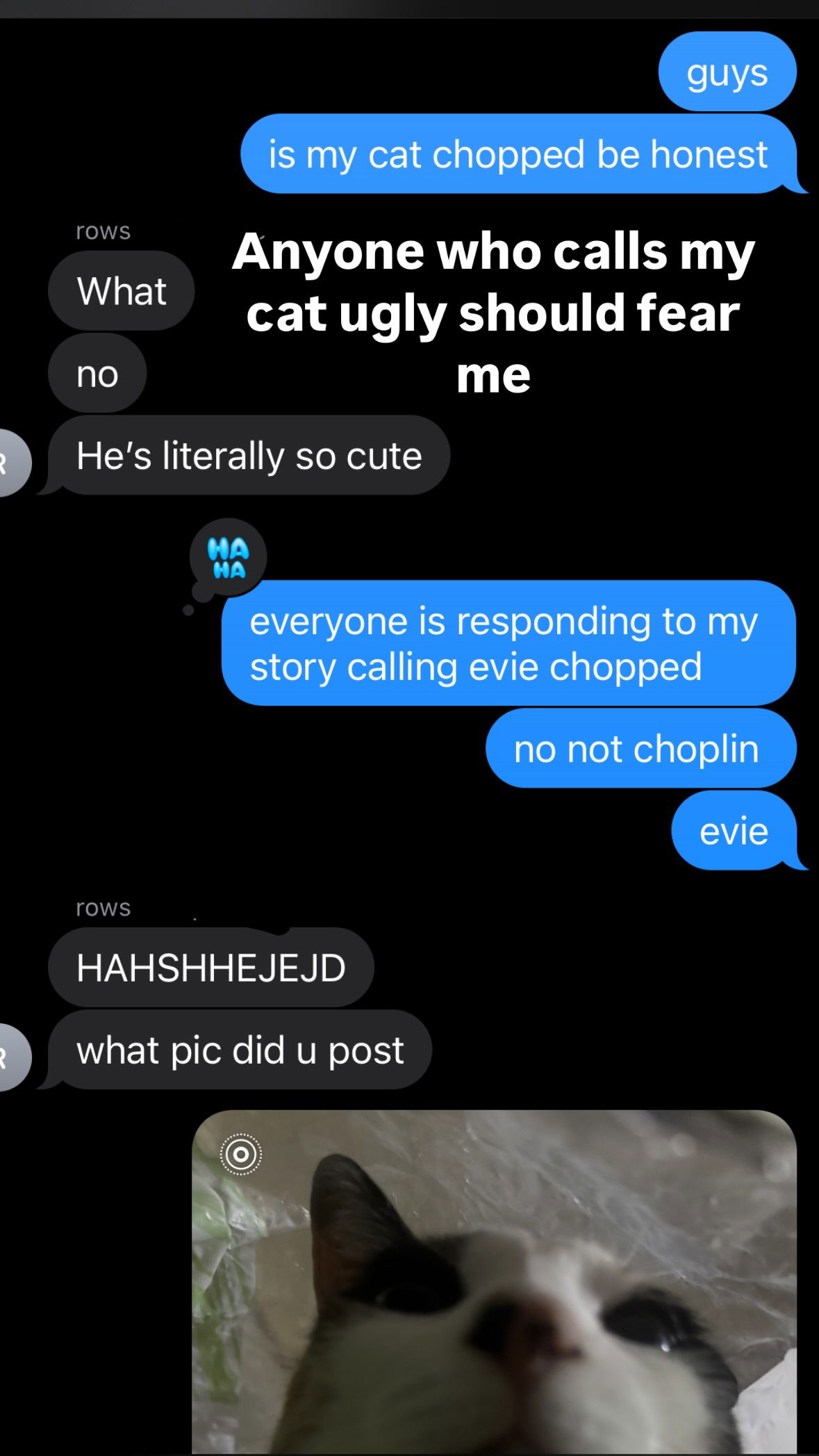 dracuina instagram image archive image