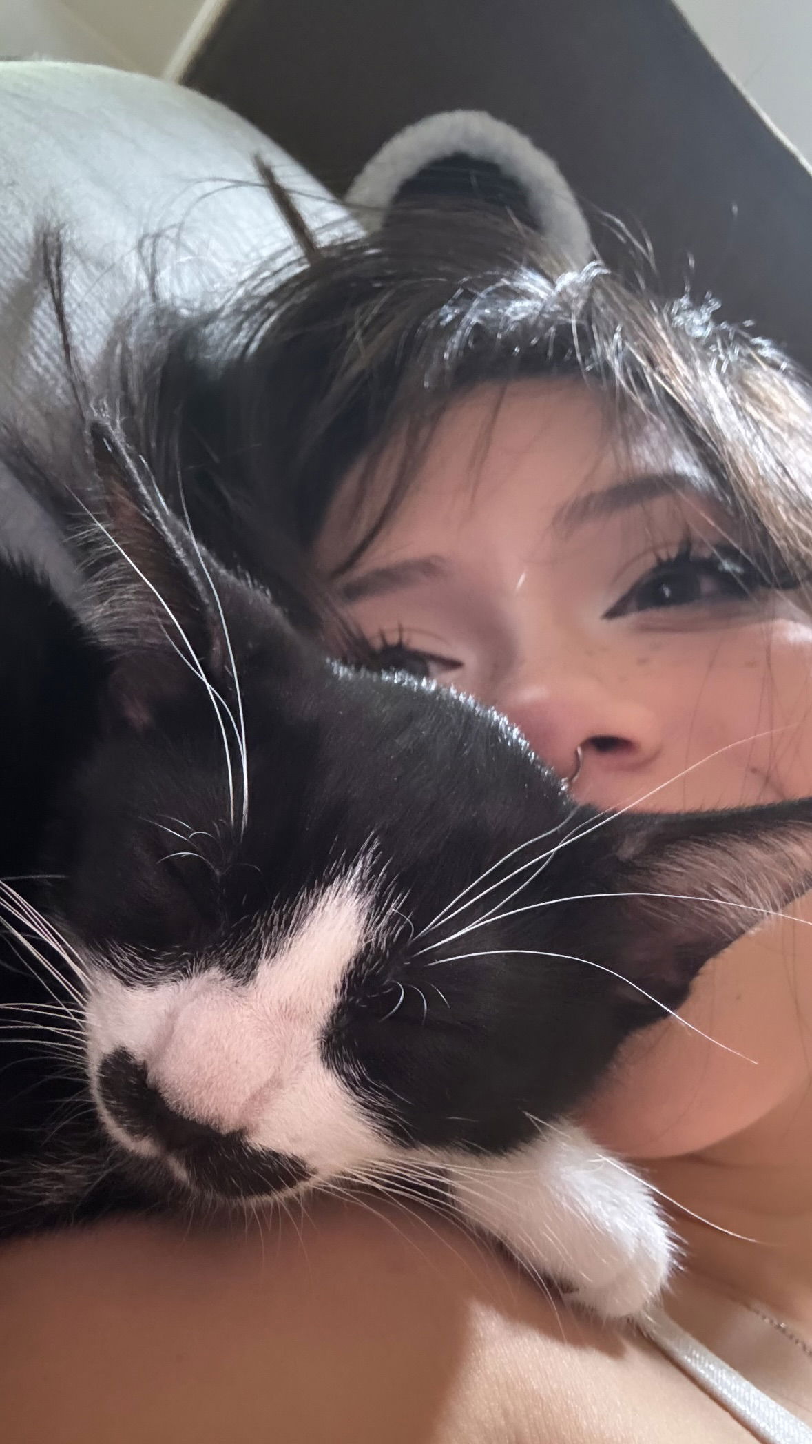 dracuina instagram image archive image