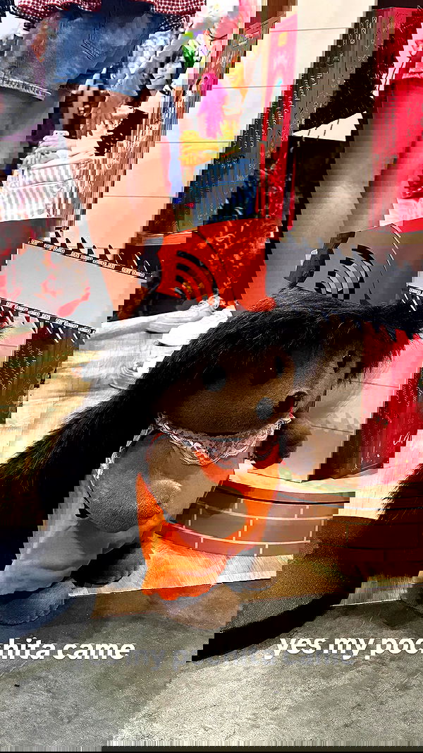 dracuina image ~ Altpins