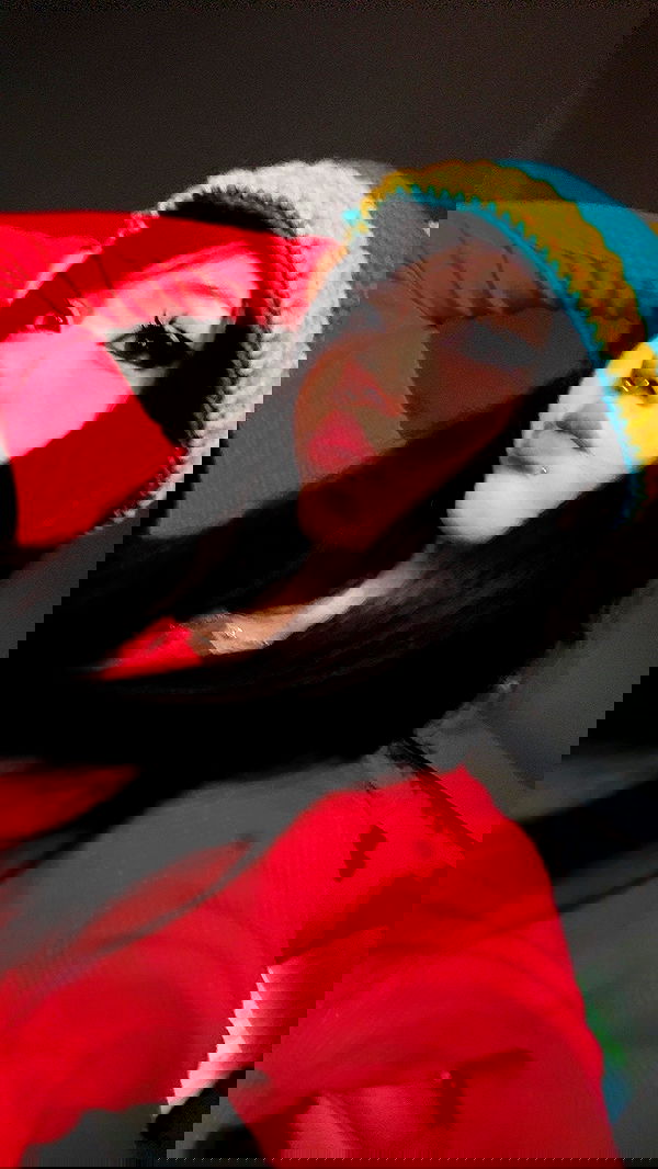 dracuina image ~ Altpins