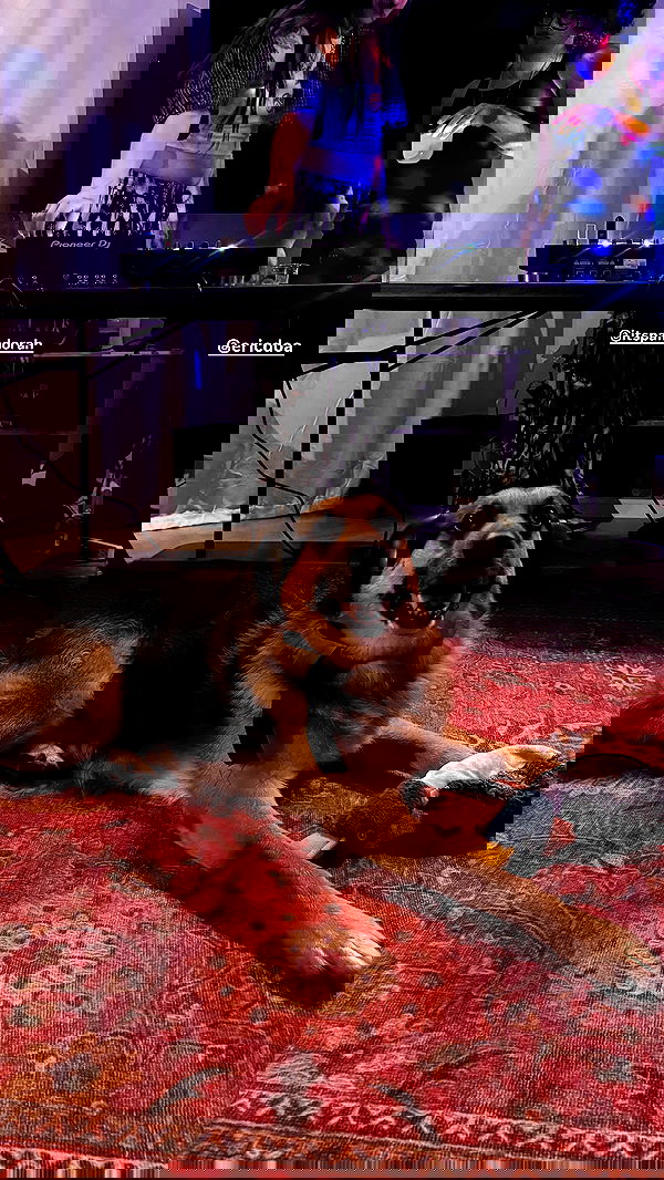 dracuina image ~ Altpins