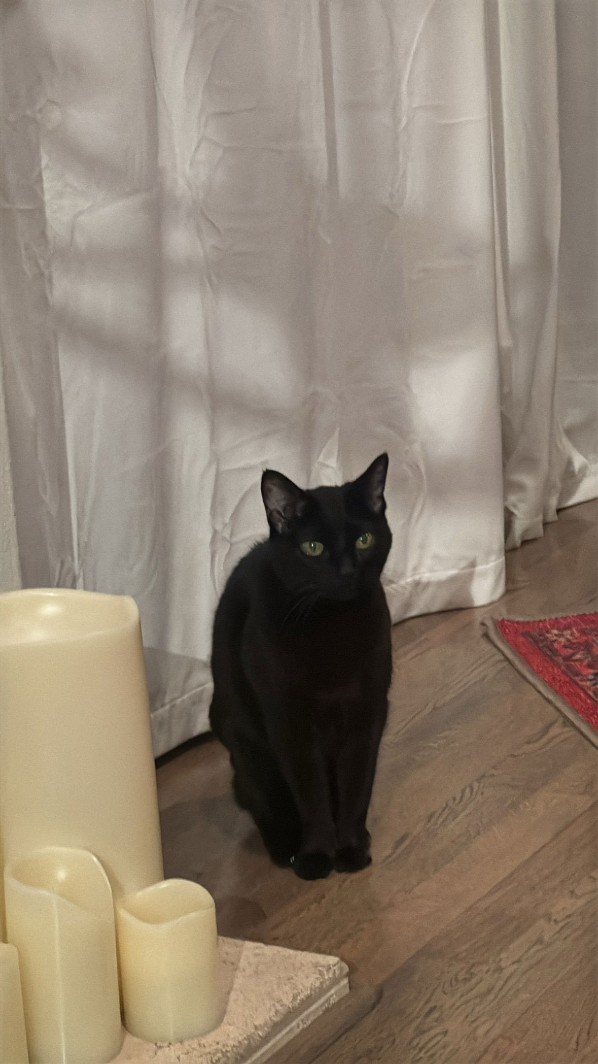 dracuina instagram image archive image