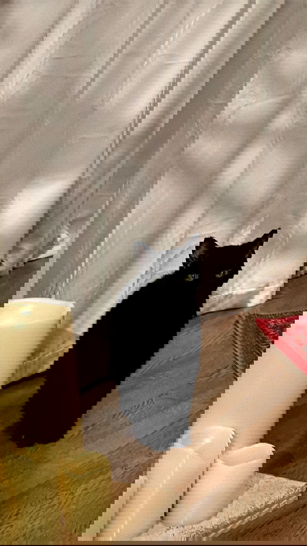 dracuina image ~ Altpins