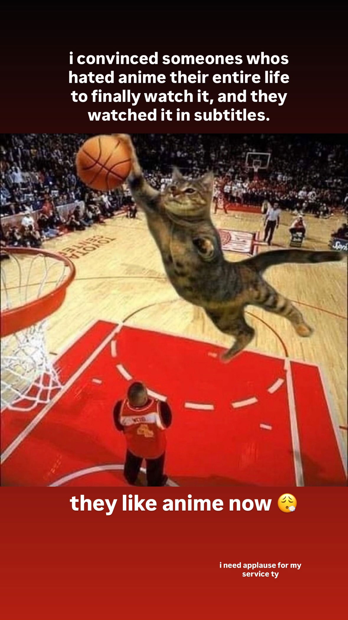 dracuina instagram image archive image