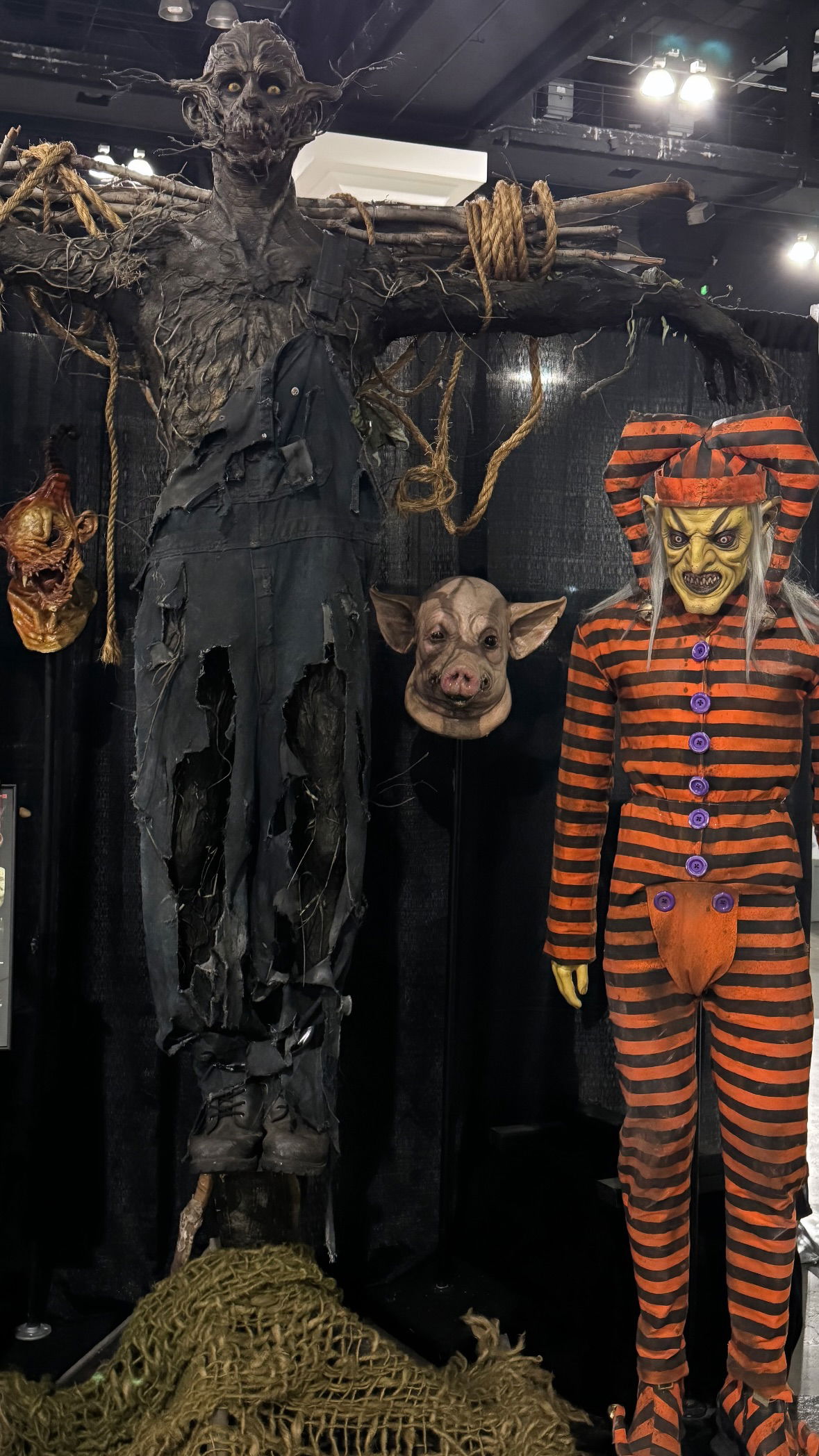 dracuina instagram image archive image