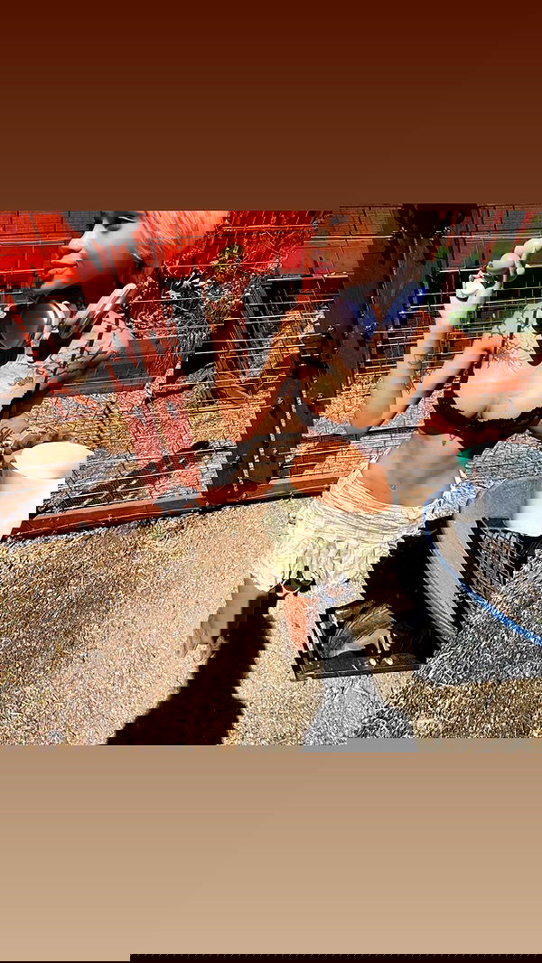 dreambabydrea dreambabydrea archive image