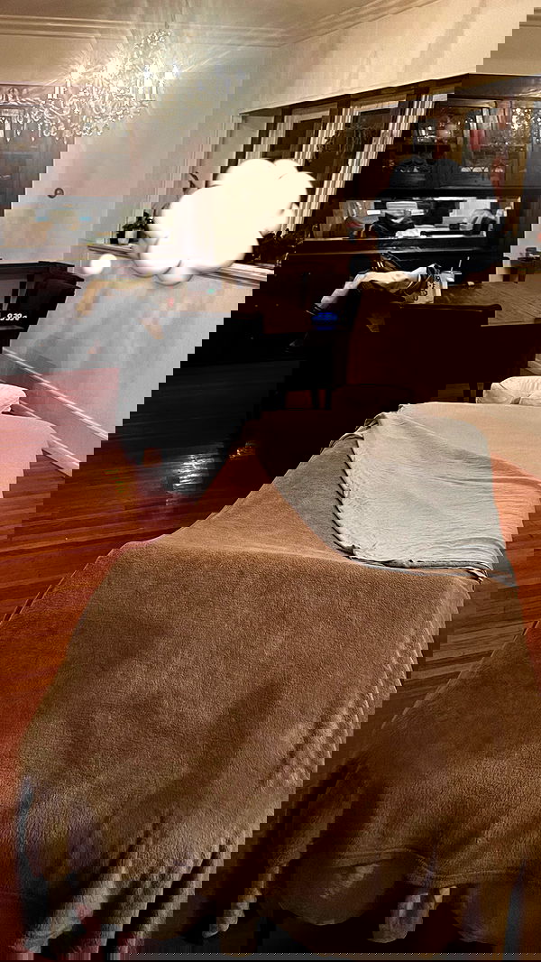 dreambabydrea dreambabydrea archive image