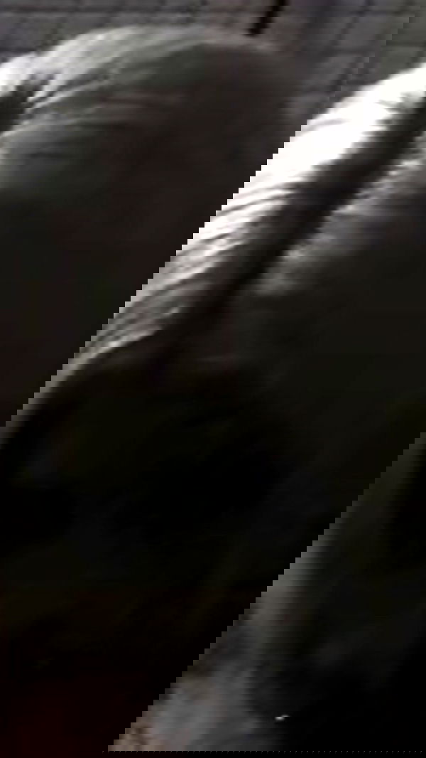 dreambabydrea dreambabydrea archive image