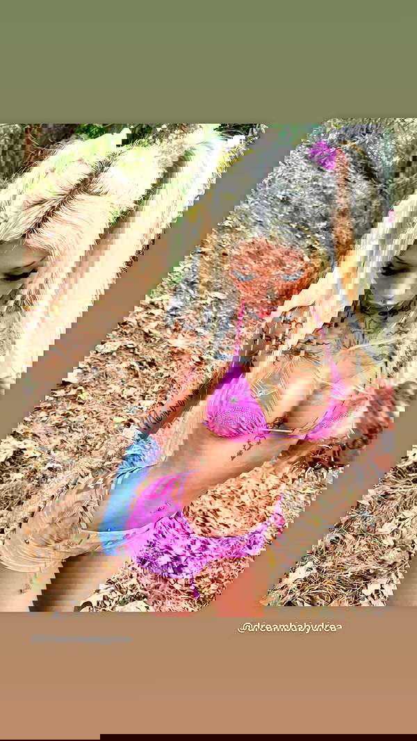 dreambabydrea dreambabydrea archive image