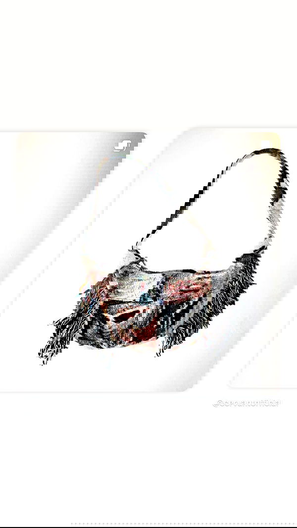 dreambabydrea dreambabydrea archive image