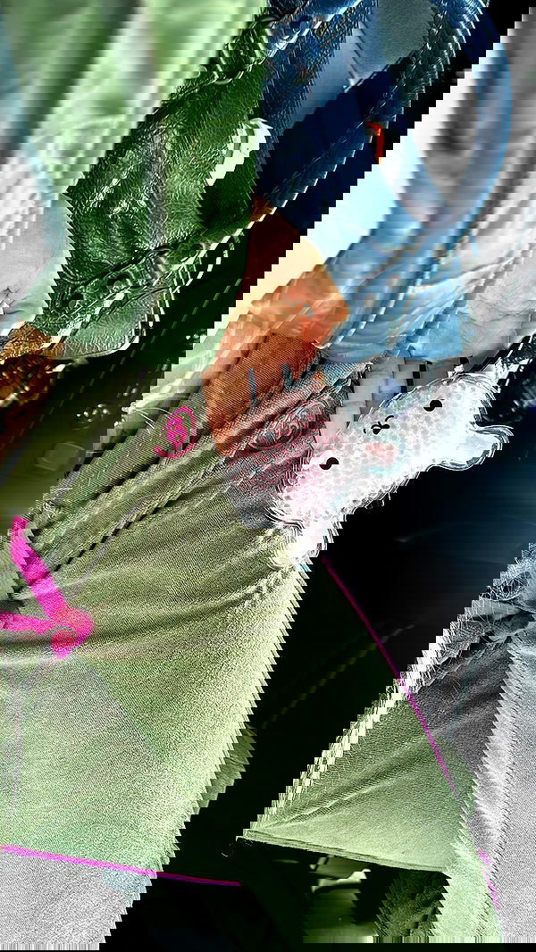 dreambabydrea dreambabydrea archive image