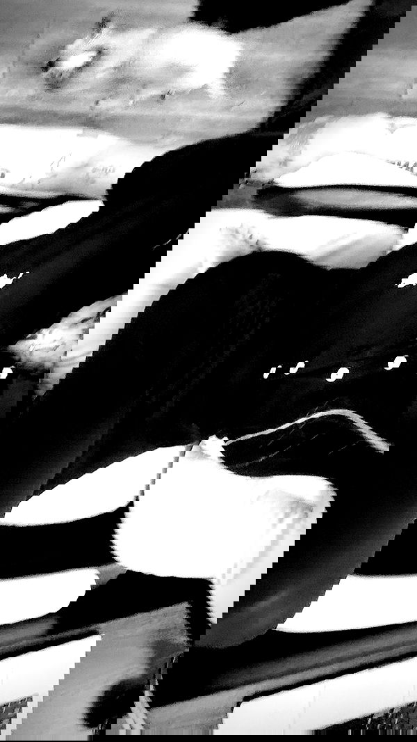 dreambabydrea dreambabydrea archive image