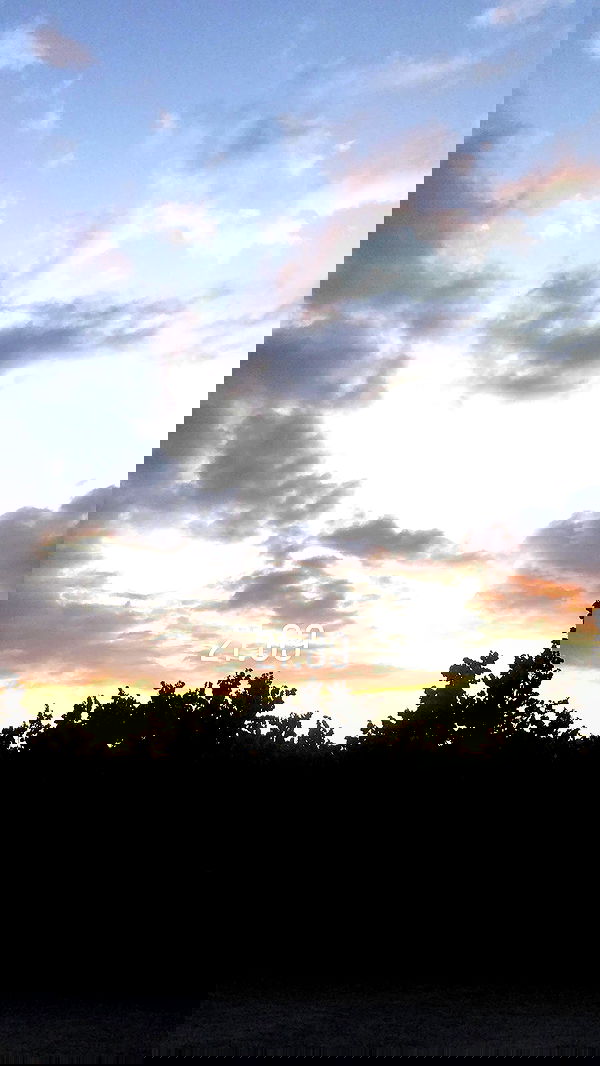 dustheadd dustheadd archive image