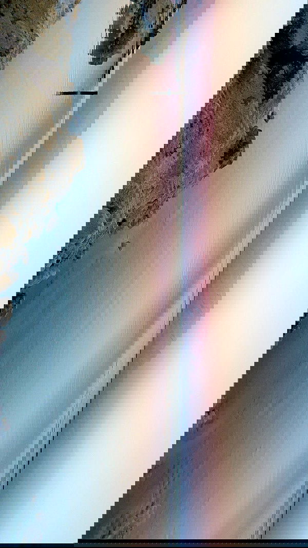 dustheadd dustheadd archive image