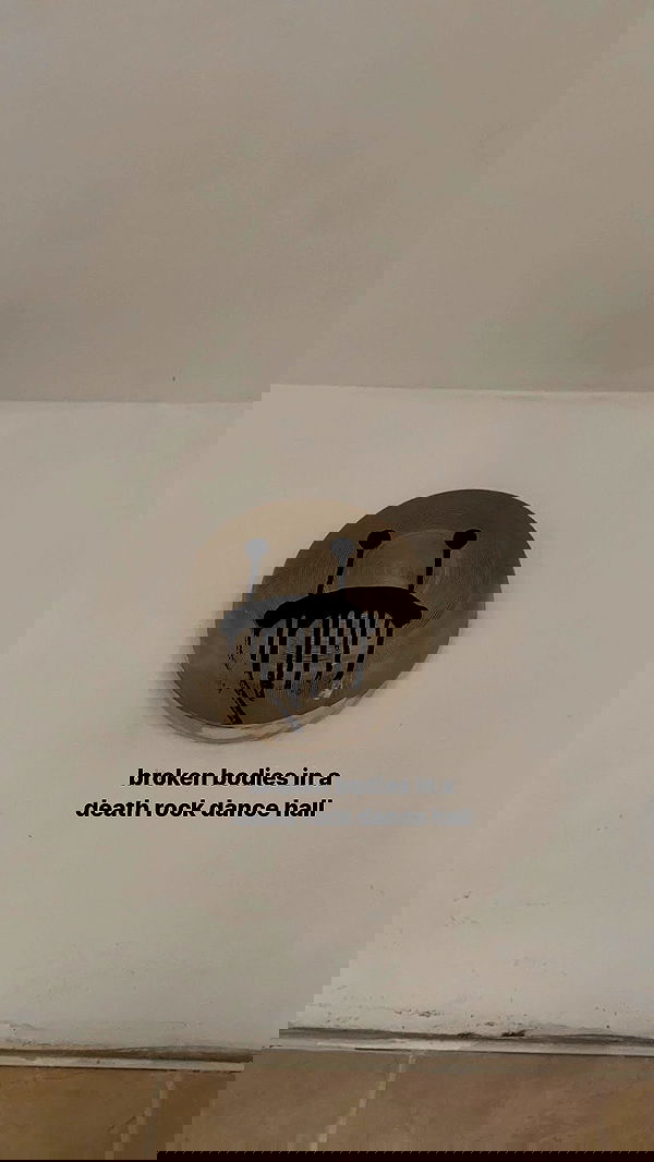 dustheadd dustheadd archive image