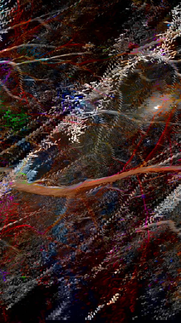 dustheadd dustheadd archive image