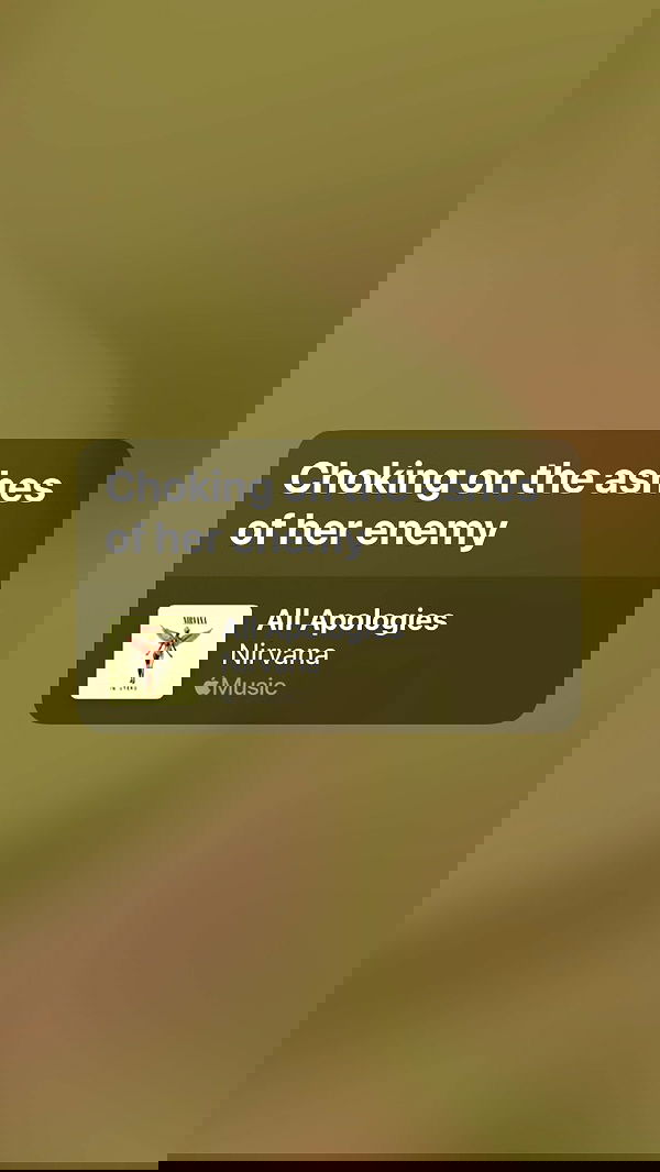 dustheadd dustheadd archive image