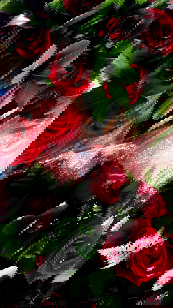 dustheadd dustheadd archive image