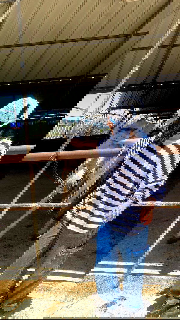 dustheadd dustheadd archive image