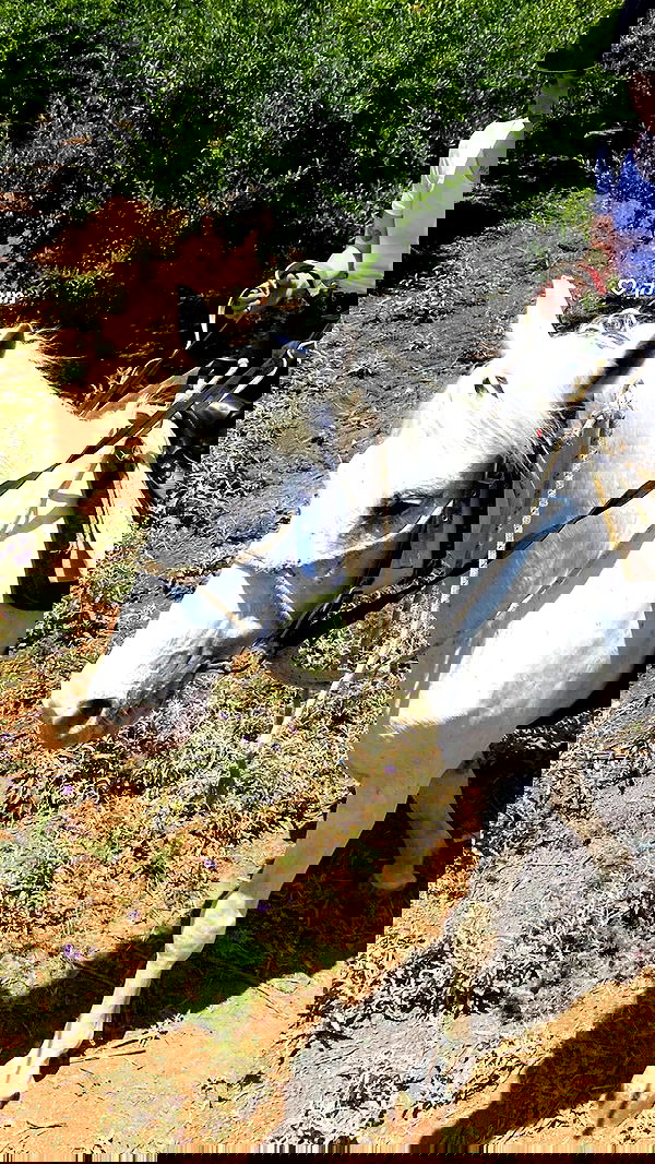 dustheadd dustheadd archive image