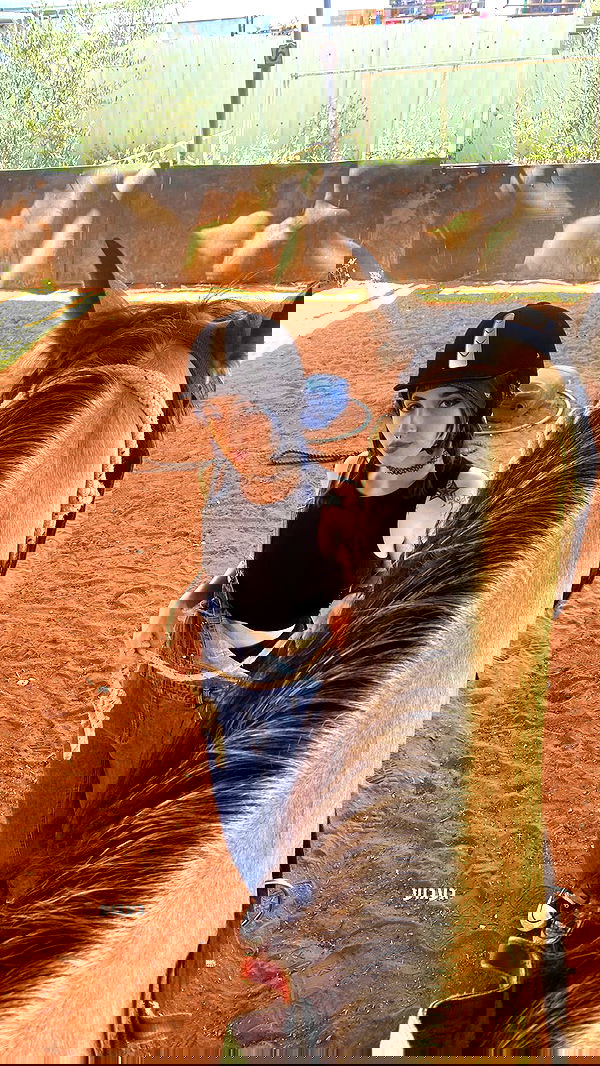 dustheadd dustheadd archive image