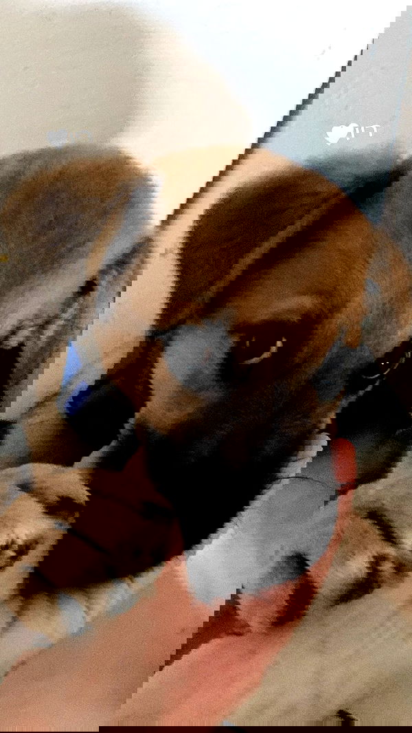 dustheadd dustheadd archive image