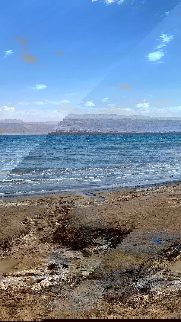 dustheadd dustheadd archive image